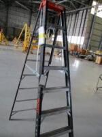 Little Giant 10 ft Aluminum Ladder