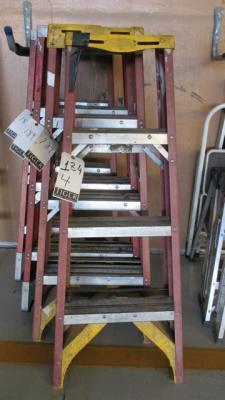 Werner 3 ft. Aluminum Ladders