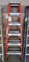 Werner 6 ft. Aluminum Ladders