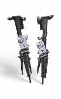 Paladin 2-Riser Low Combo Stands