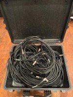 Audio Cables w/Pelican Case