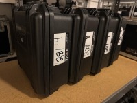 (4) Cases