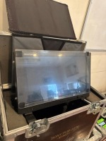 Sony PVM-A170 17" OLED Monitor w/Case