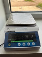 Ruishan Electronic Balance