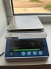 Ruishan Electronic Balance