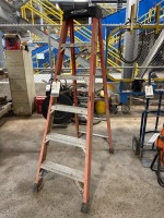 Werner 6-Step Ladder