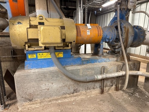 Goulds 3175 Centrifuge Pump w/ Motor