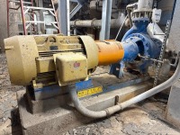 Gould 3175 Centrifugal Pump w/ Motor