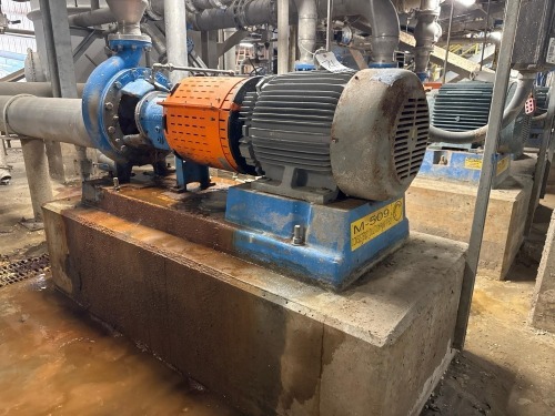 Goulds 3196 Centrifugal Pump w/ Motor