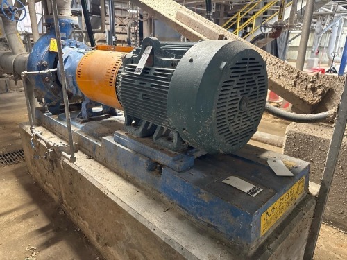 Goulds 3175 Centrifugal Pump w/ Motor
