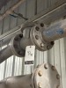 (7) Assorted Check Valves - 2