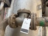 (7) Assorted Check Valves - 5