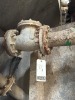 (7) Assorted Check Valves - 6