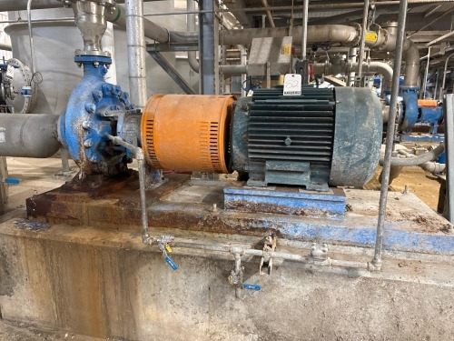 Goulds 3180 Centrifugal Pump w/ Motor