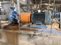 Goulds 3180 Centrifugal Pump w/ Motor
