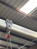 EME Rolling Gantry w/ Dayton Hoist - 2
