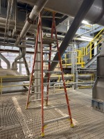 Werner 8-Step Ladder
