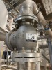 (7) Assorted Check Valves