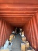 40' Shipping Container w/ Shelving - 6