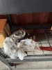 Assorted Parts in Shipping Container - 22