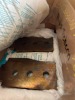 Assorted Parts in Shipping Container - 7