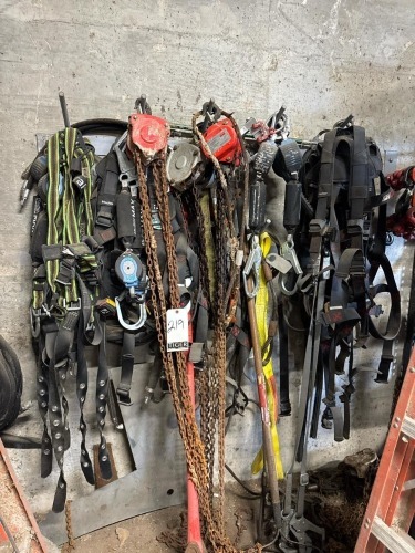 Assorted Hoists & Body Harnesses