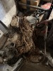 Assorted Hoists & Body Harnesses - 4