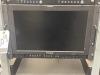 Panasonic BT-LH1700WP 17" Widescreen LCD Monitor