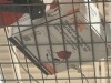 Contents of Pallet Racking - 4