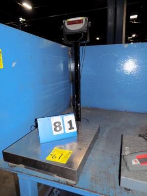 Weight Scale