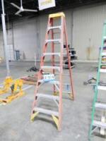 Werner Fiberglass Ladder