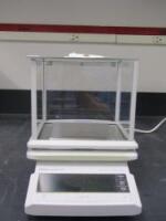 Precision Balance