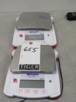 Analytical Balances