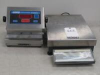 Bench Scales