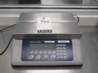 Counting Scale