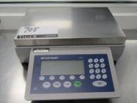 Counting Scale