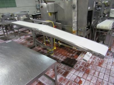 Weber Stainless Steel Conveyor