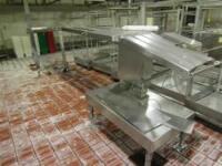 Weber Stainless Steel Conveyor