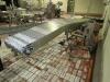 Stainless Steel Conveyor - 2
