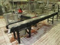 Painted Steel Conveyor