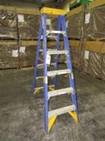 Warner 6' Fiberglass Ladder