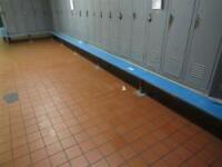 Locker Room Benches