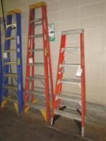 Werner Fiberglass Ladders