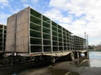 Live Haul Trailers w/Dolly Trailer