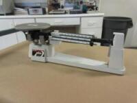 Triple Beam Scale