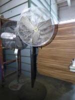 Shop Fans