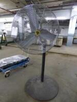 Pedestal Fan