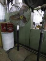 Pedestal Fan