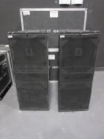 Line Array Subwoofers